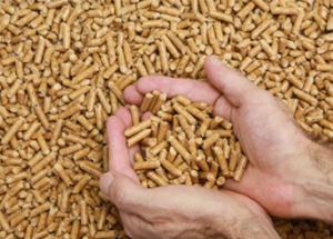 biomass boilers fuel